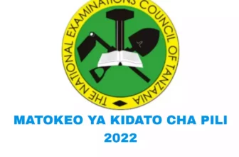 (NECTA) Matokeo Ya Kidato Cha Pili 2024/2025 Form Two