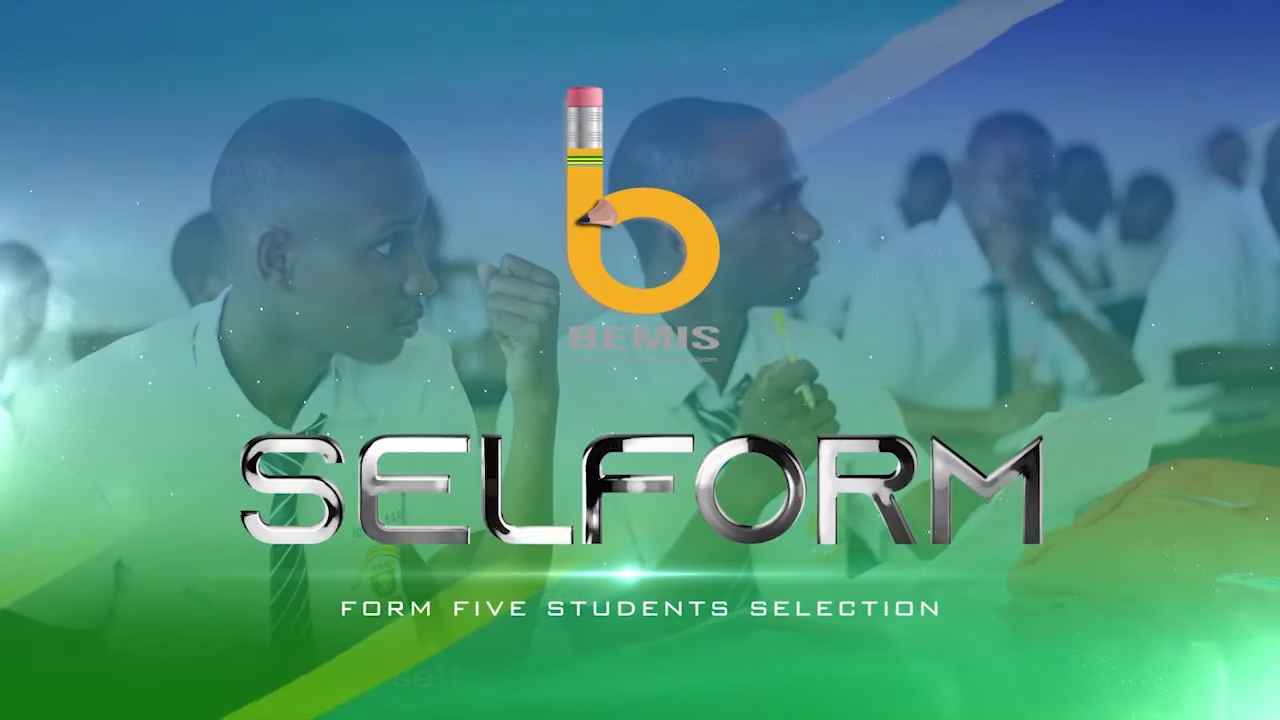 Selform.tamisemi.go.tz (2026) Selform Tamisemi 8