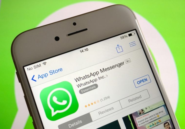 WhatsApp Notification