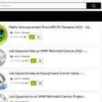 Jobs in Tanzania Leading Platforms for All Latest Jobs 12 Jobs in Tanzania
