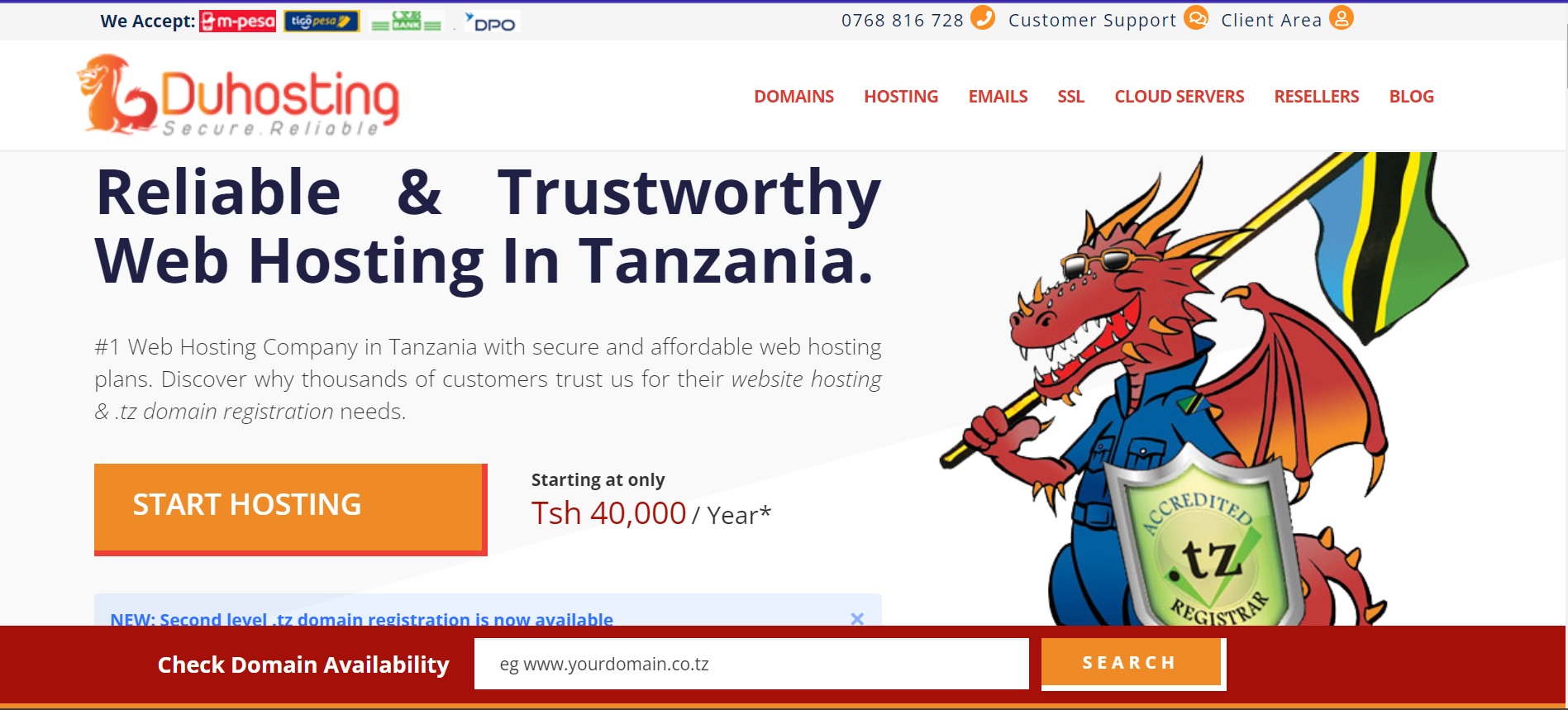 Top 5 Best Web Hosting in Tanzania (2024)