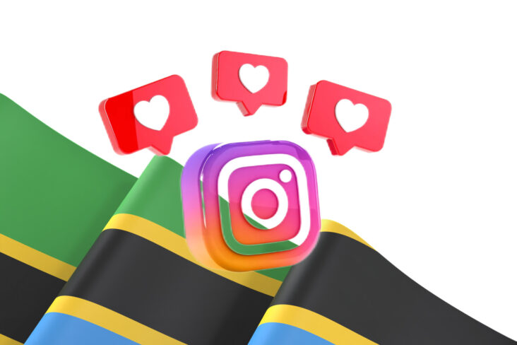 Top 10 Tanzanians with the Most Instagram Followers