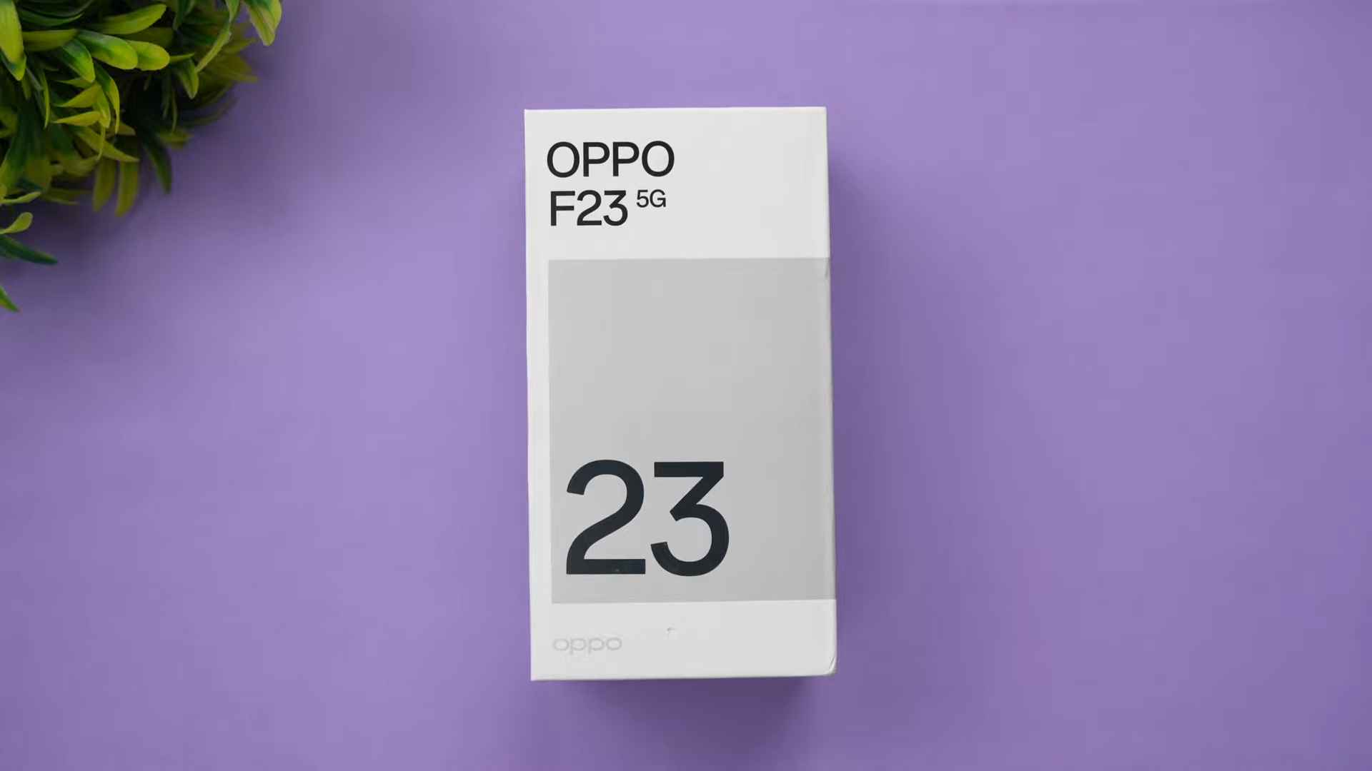 Oppo F23 5G with Snapdragon 695 and 64MP Launched