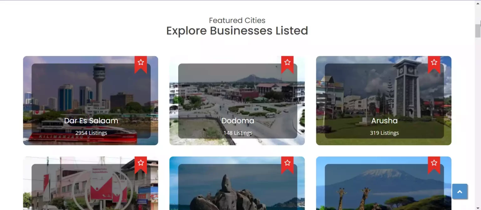 5 Essential Online Business Directories for Tanzanian Businesses